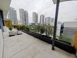 38 Jervois (D10), Apartment #504690471